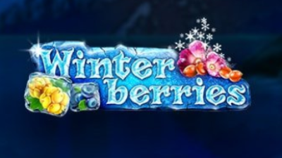 이그드라실 슬롯게임리뷰 윈터베리 Winterberries