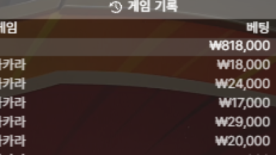 뉴헤븐카지노 후기이벤트