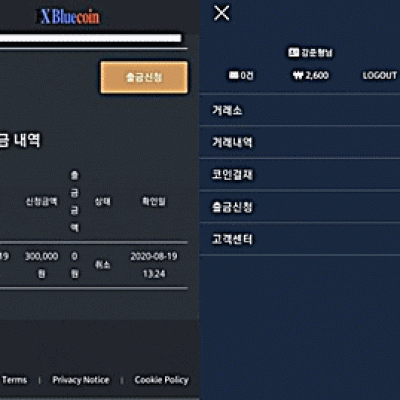 블루코인먹튀